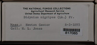 Image Associated With the Occurence